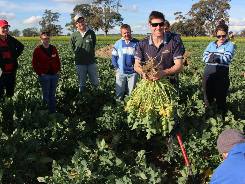 Ben Cordes from Tyler's discusses cover crops on the Rupanyup GAPP crop walk