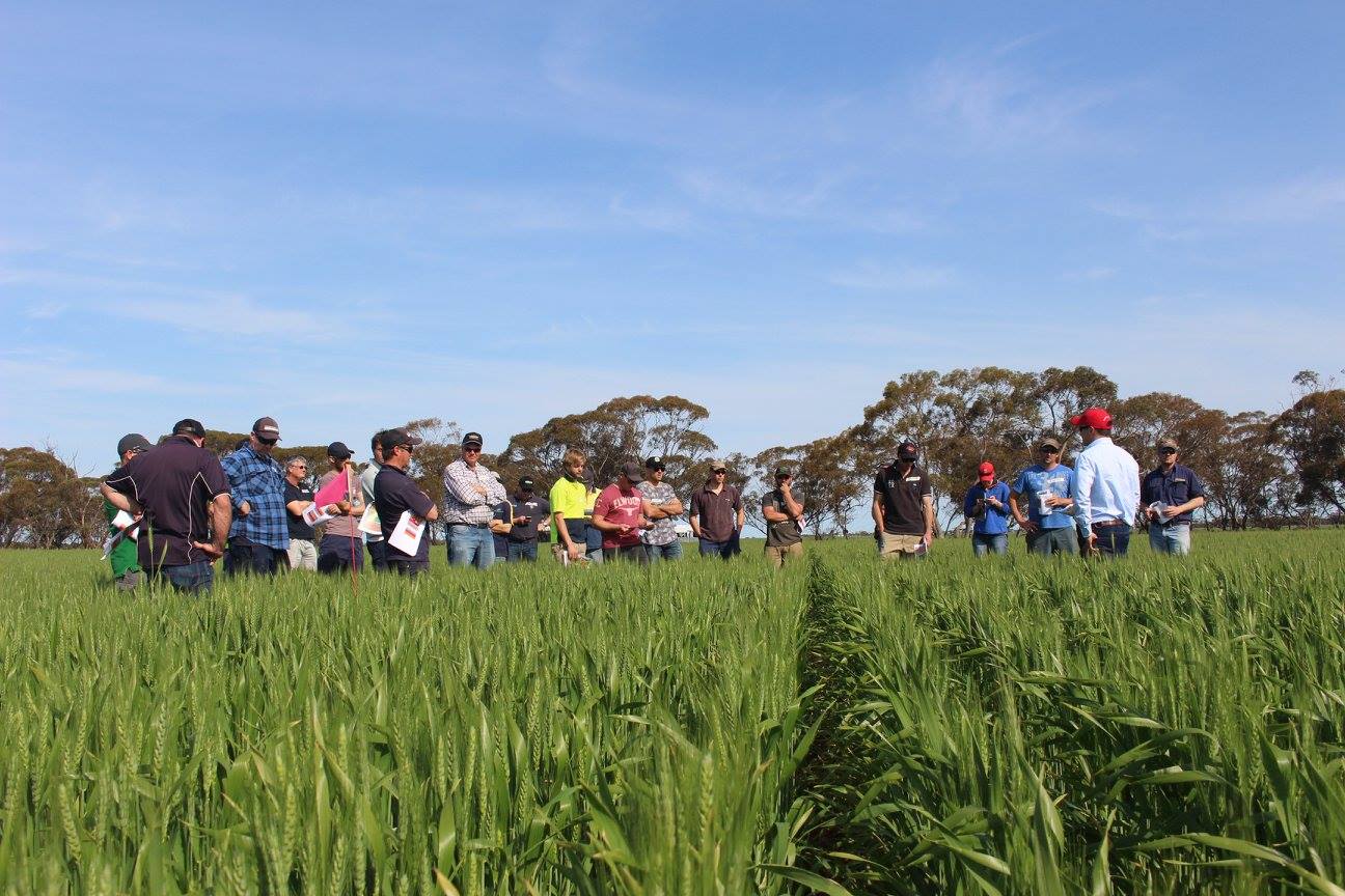 14324448_1183672661690460_1571508835154538325_o