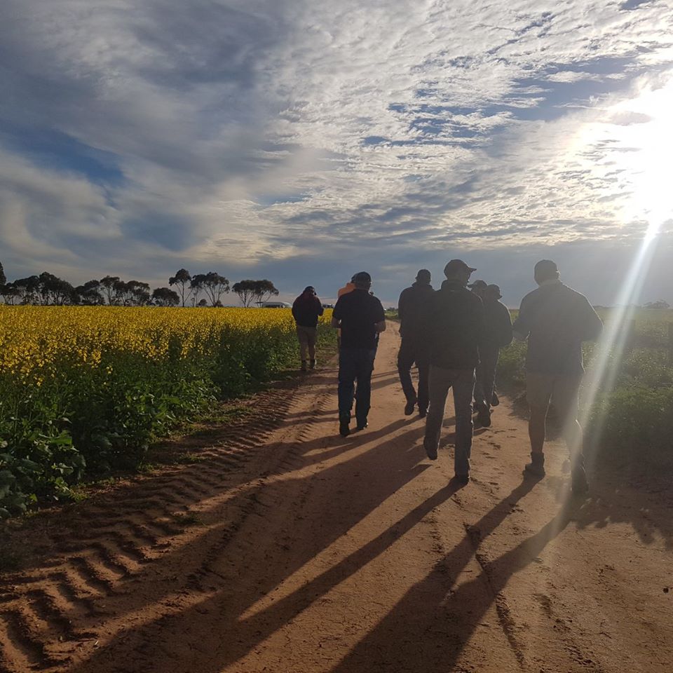 14344697_1183673158357077_7832629225191895746_n