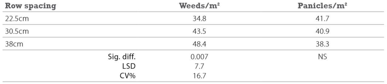 Angelsowingdirection_2_2015