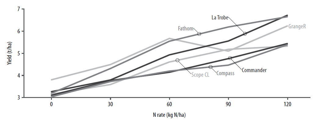 Barley response to N applied at sowing figure 5