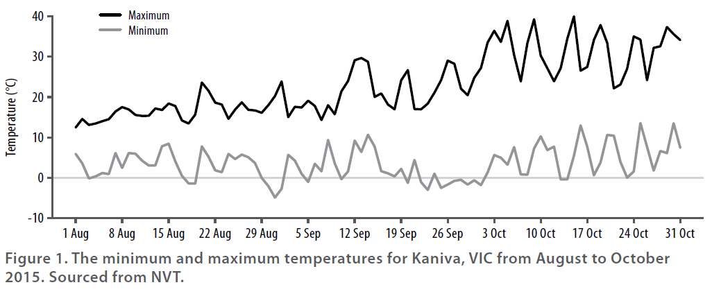 Canola varieties - 2015 BCG SRR - Figure 1 - The minimum and maximum temperatures for Kaniva from August to October 2015