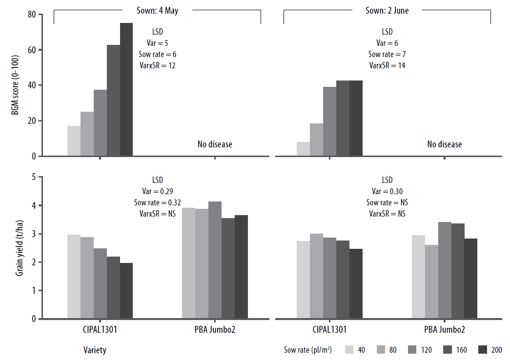 Diseases in pulse crops figure 2