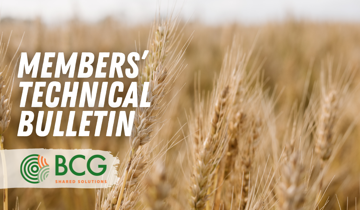 Technical Bulletin No.15 3.11.23