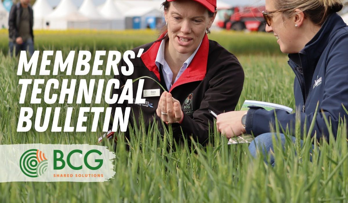 Technical Bulletin No. 14 - 11.10.24