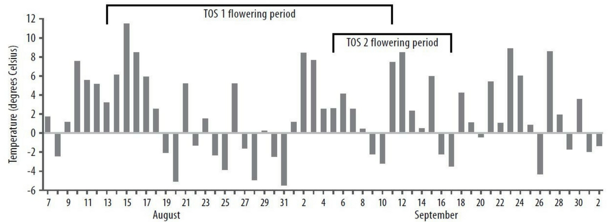 Figure 1. The number of frost events from 7 August to 2 October over the critical flowering window of TOS 1 and 2.