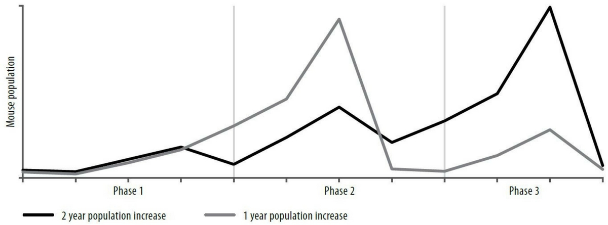 Figure 1. Population trends of mouse plagues. A plague may develop over one or two years and is followed by a population crash. Seasonal conditions during phase 2 determine whether the peak will occur in phase 3. Image source: GRDC (2011), ‘Mouse Control Fact Sheet’. https://grdc.com.au/resources-and-publications/all-publications/factsheets/2011/08/grdc-fs-mousecontrol
