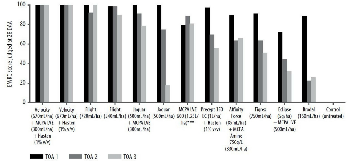 Figure 2. GRDC emerging weeds wild radish timing trial in 2013. The trial had three spray timings at 2 leaf radish, 6-8 leaf radish and large radish plants. The EWRC scores are comparing the different treatments and spray application timing scored at 28 days after application.