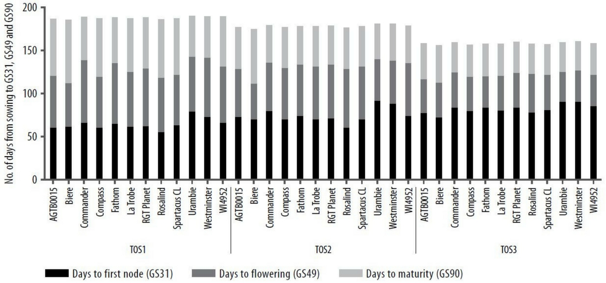 Figure 2. Number of days from sowing to GS31, flowering and maturity for each variety at the three sowing times.