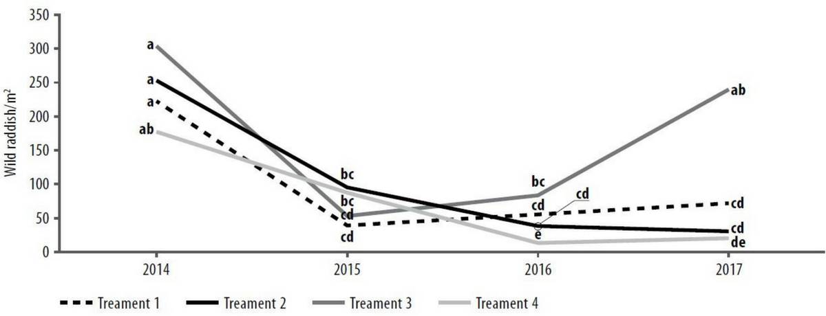 Figure 4. Mean wild radish/m2 seedbank taken from soil cores at the beginning of each year shown for each treatment (see Table 2). Statistical analysis for Treatment by year P=0.011, CV=16.5%, LSD not provided as data was transformed for analysis.
