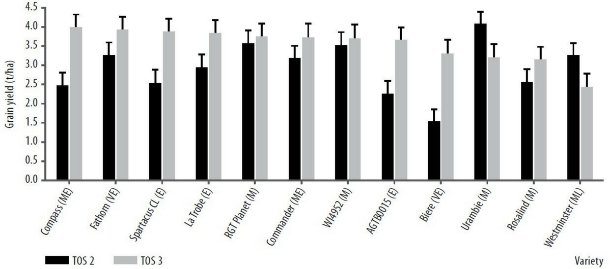 Figure 4. Grain yield (t/ha) of TOS 2 and 3 for all barley varieties (Variety: P=0.005, LSD=0.26t/ha CV=5.1%, TOS: P=<.001, LSD=0.26t/ha, CV=3.5%, Variety x TOS: P=<.001, LSD=0.40, CV=8.1%). Note: Rating indicates maturity of the variety. VE= very early, E= early, ME= moderately early, M= mid season, ML= mid to late.