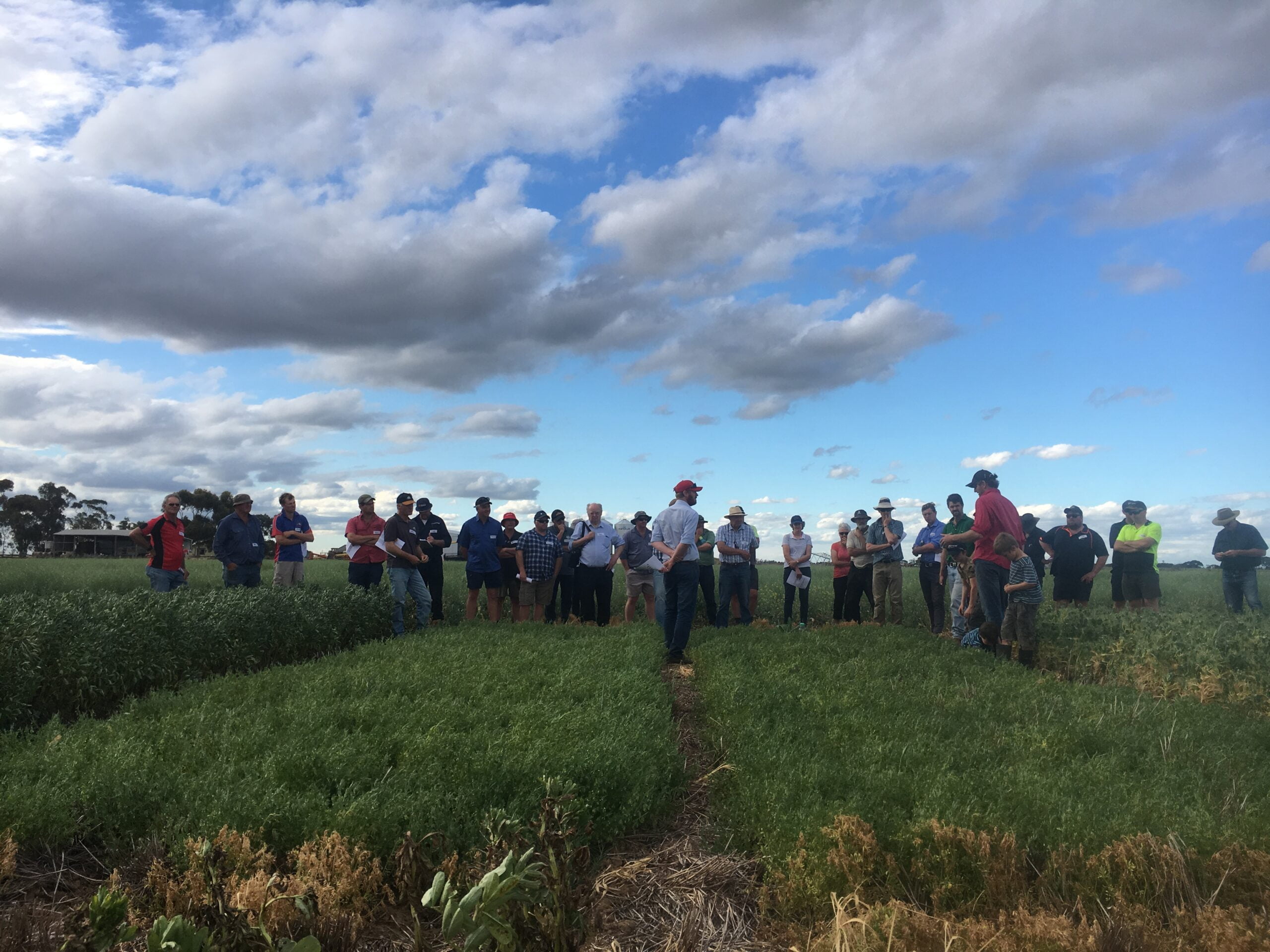 Photo: Cameron Taylor (BCG) informing the group about the trial soil test results.