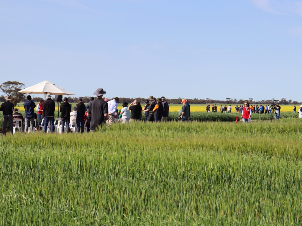 Sun shines at BCG Main Field Day
