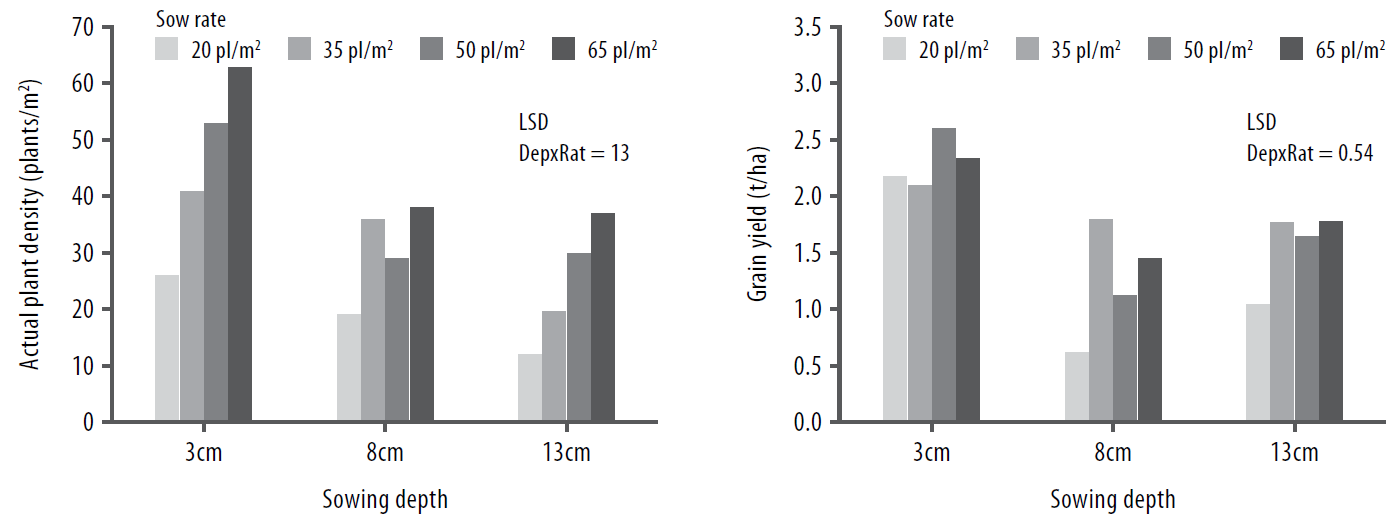 Pulses in the Mallee figure 3