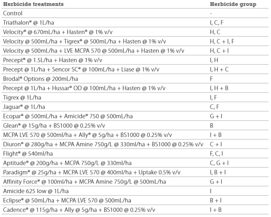 TaylorIvyLeaf_2_2015