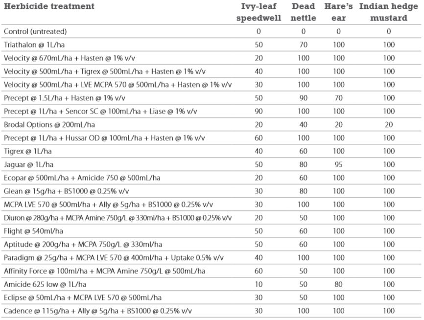 TaylorIvyLeaf_3_2015