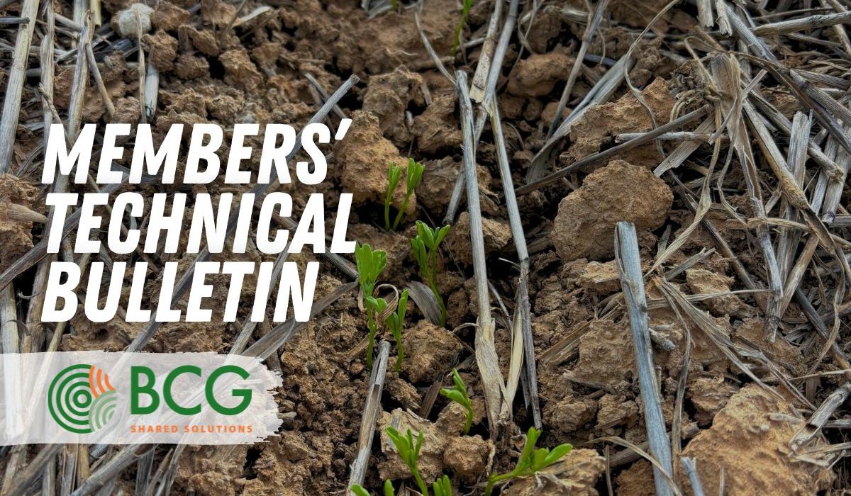 Technical Bulletin No. 5 - 31.05.24