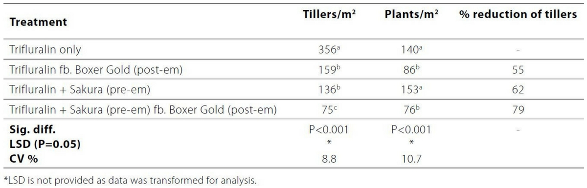 Untitled design (76)