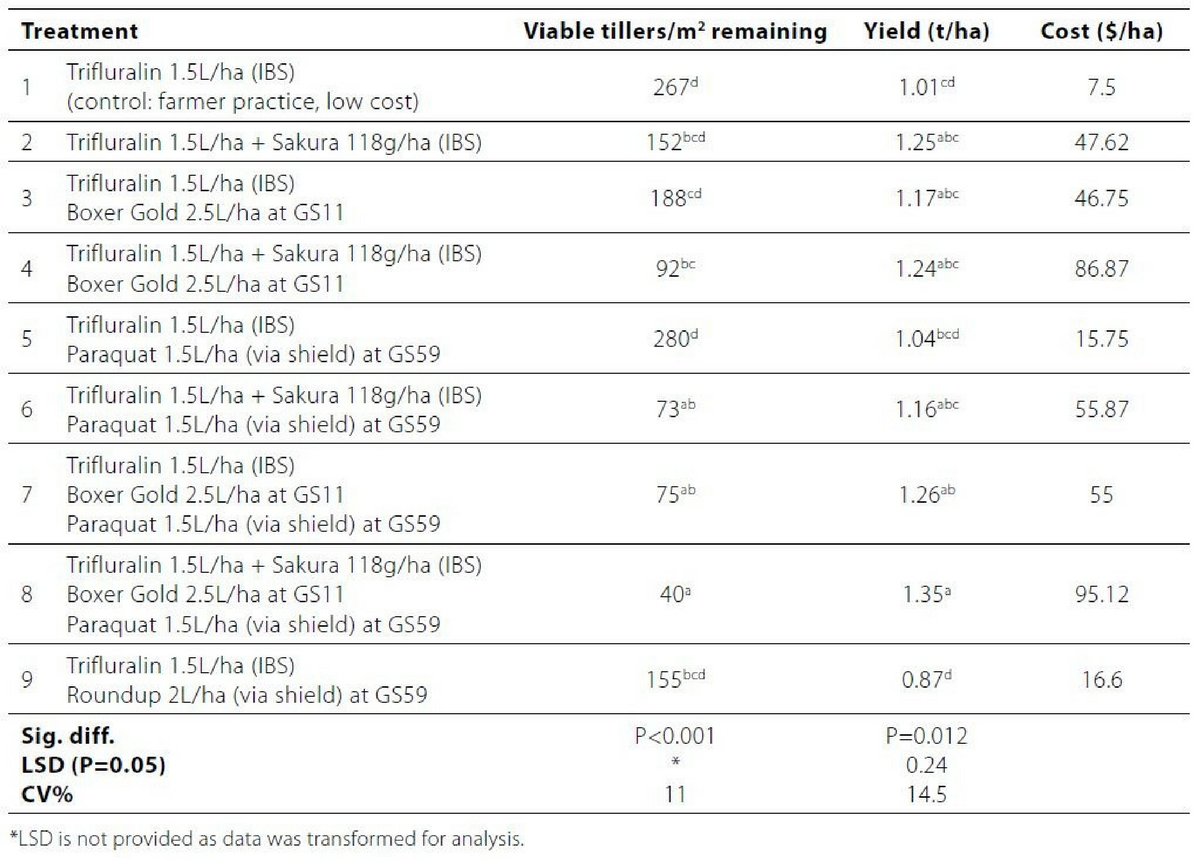 Untitled design (77)