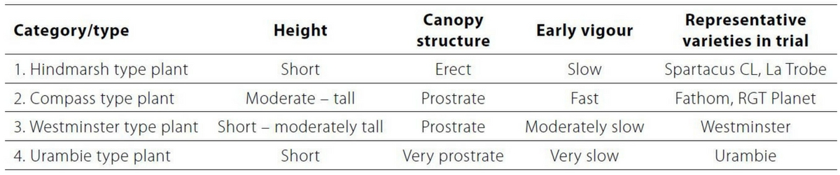 Untitled design (78)