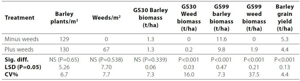Untitled design (79)