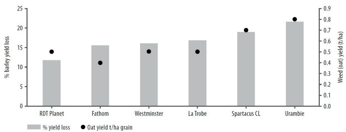Figure 1: 2017 barley yield loss (%) between varieties and the amount of weed yield (t/ha).