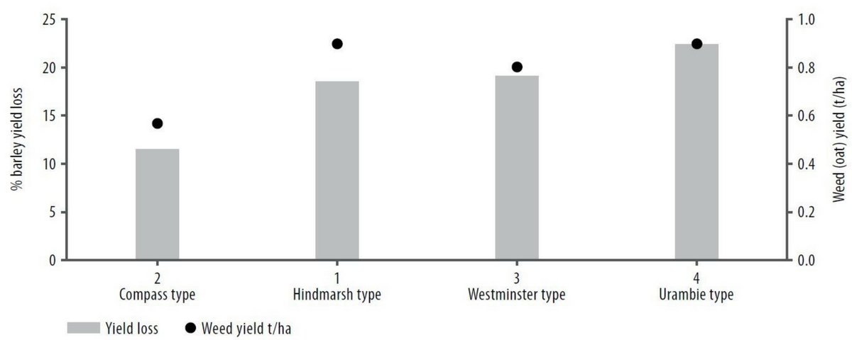 Figure 2: Three-year average of barley grain yield loss (%) of different plant types (based on their phenology) from 2013, 2016 and 2017 data.