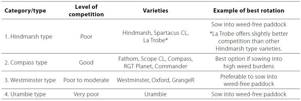 Untitled design (82)