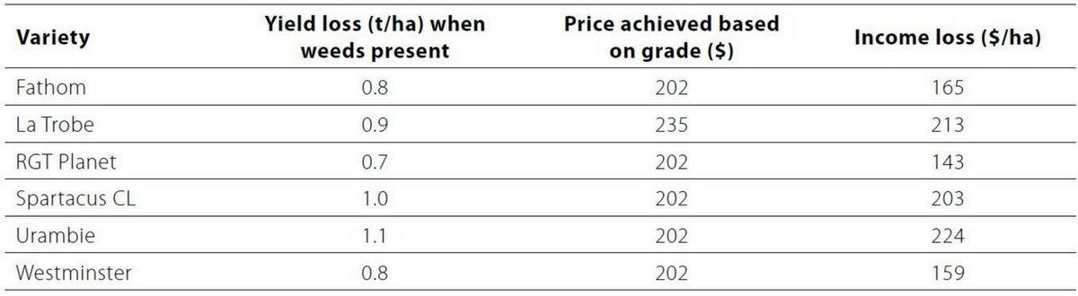 Untitled design (83)