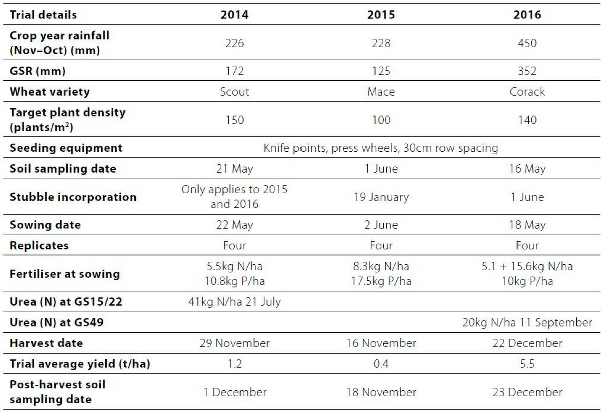 Untitled design (84)