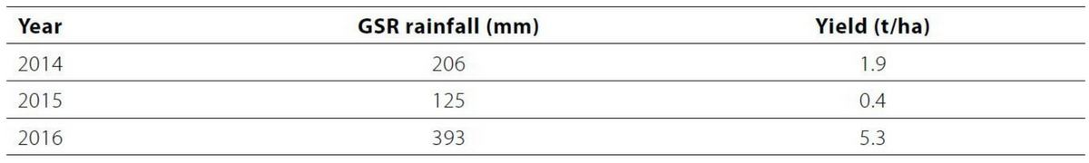 Untitled design (85)