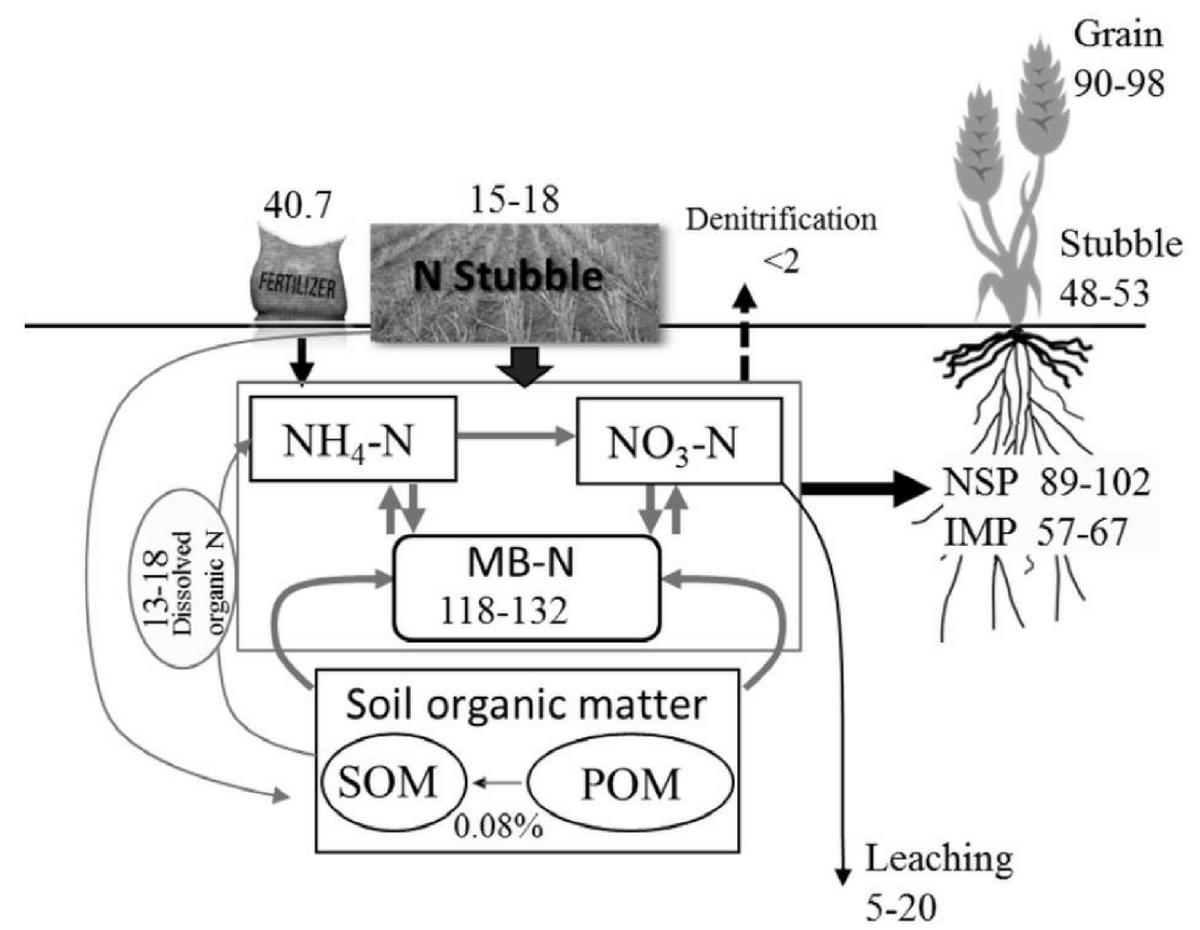 Figure 2. Amount of N (kg/ha) in different soil N pools prior to sowing the 2016 crop and N uptake by the wheat crop at harvest in 2016 season. MB=microbial biomass, SOM=soil organic matter, POM=particulate organic matter, NSP=N supply potential, IMP=N immobilisation potential. Values for leaching and denitrification are estimates based on other research in the region whereas other pools are measured values.