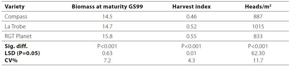 Untitled design (91)