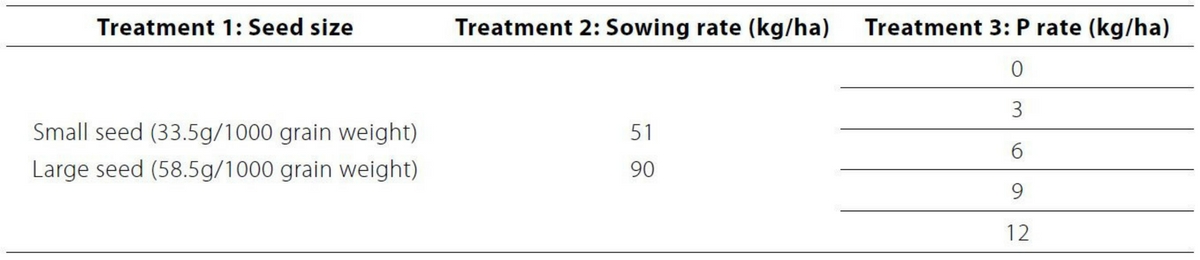 Untitled design (92)