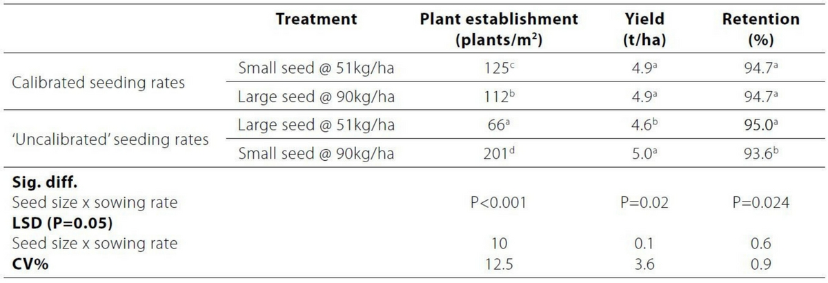 Untitled design (94)