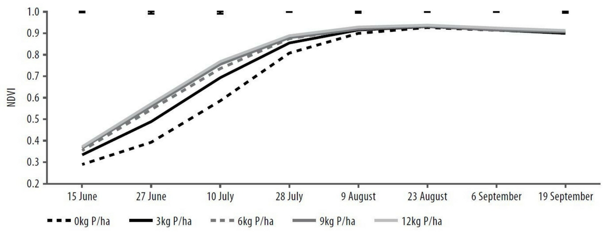 Figure 1. P rate effect on barley canopy greenness measured in NDVI. LSDs (P=0.05), represented by error bars at the top of this graph were 0.00643 - 15 June, 0.012 - 27 June, 0.0132 - 10 July, 0.00786 - 28 July, 0.0039359 - August, 0.001908 - 23 August, 0.003013 - 6 September and 0.004031 - 19 September.