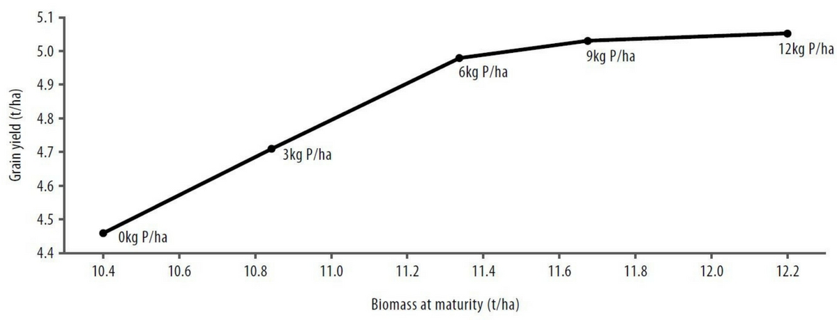 Figure 2. Biomass and grain yield response to the five P rates. Biomass at maturity stats: P<0.001, LSD=0.65t/ha, CV=8.2%; Yield P<0.001, LSD=0.1249t/ha, CV=3.6%.