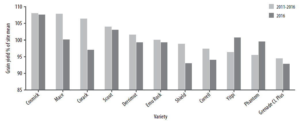 Wheat varieties and the influence of time of sowing figure 4