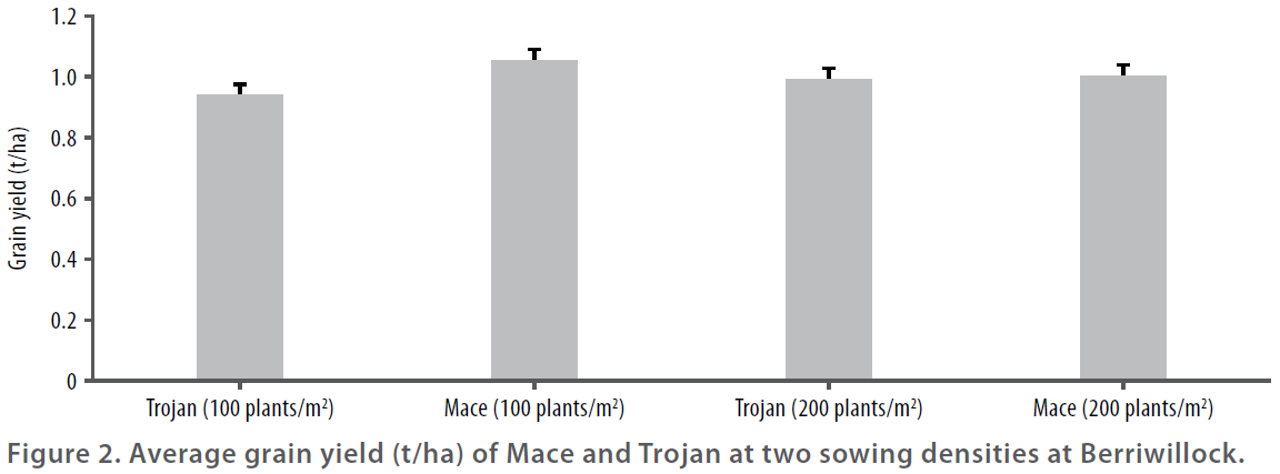 Wheat varieties in 2015 - Figure 2 - Average grain yield of Mace and Trojan at two sowing densities at Berrwillock