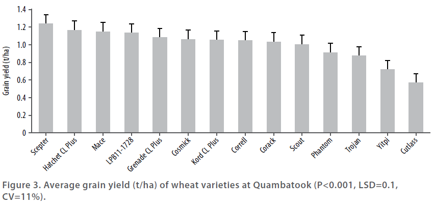 Wheat varieties in 2015 - Figure 3 - Average grain tield of wheat varieties at Quambatook