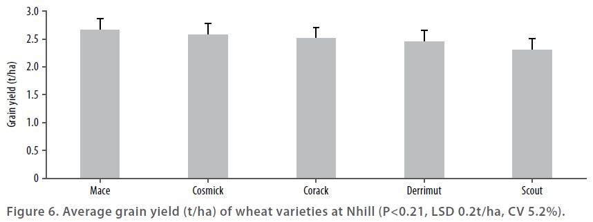 Wheat varieties in 2015 - Figure 6 - Average grain yield of wheat varieties at Nhill