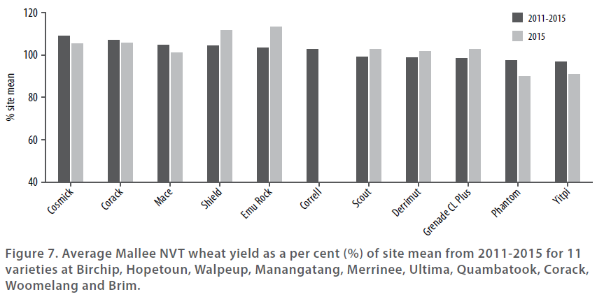 Wheat varieties in 2015 - Figure 7 - Average Mallee NVT wheat yield as a per cent of site mean from 2011 - 2015 for 11 varieties