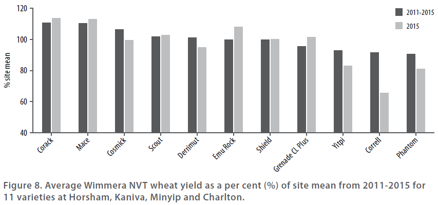 Wheat varieties in 2015 - Figure 8 - Average Wimmera NVT wheat yield as a per cent of sie mean from 2011 - 215 for 11 varieties