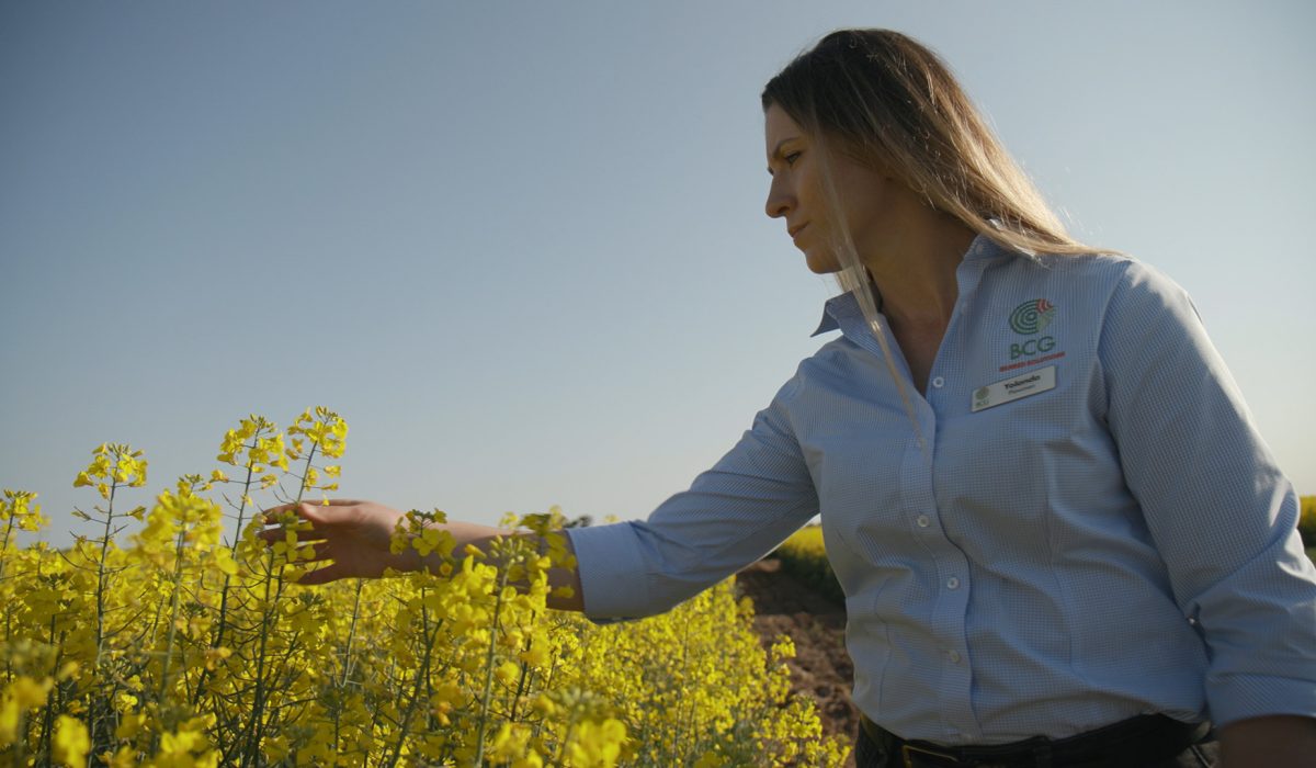 Dr Yolanda Plowman nitrogen bank