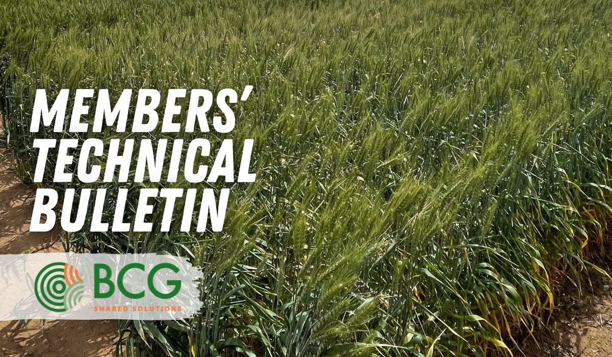 Technical Bulletin No. 15 - 01.11.24