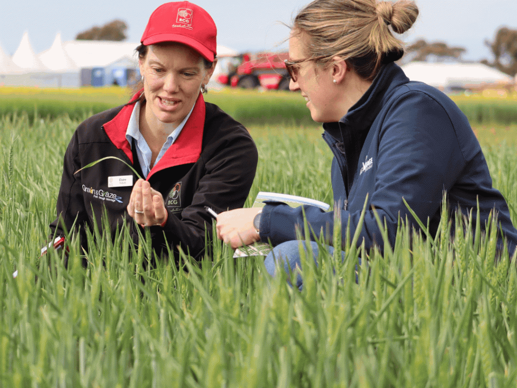 BCG Main Field Day highlights fatigue management and profitability link