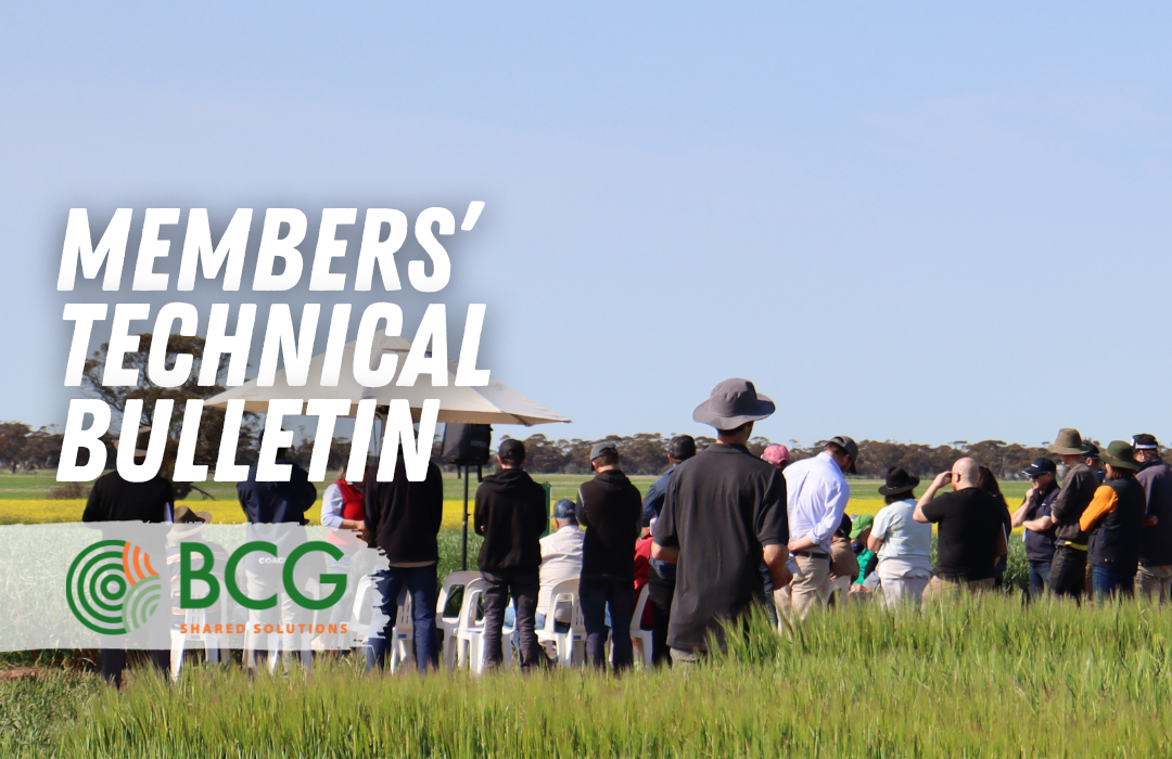 BCG Technical Bulletin 2023