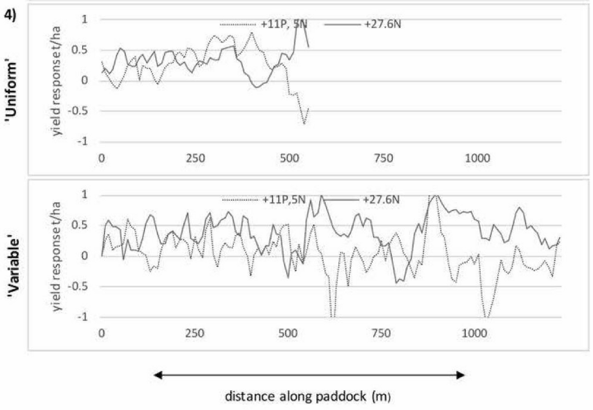 Figure 2. Yield responses to nitrogen (—) and phosphorus (····) treatments for Grower 1, 2 and 4. Actual nutrient rate differences are included for each graph. The Y axis has been restricted for ease of comparison; only Grower 2’s ‘variable’ paddock displayed results outside of this range as a result of uncontrolled factors.