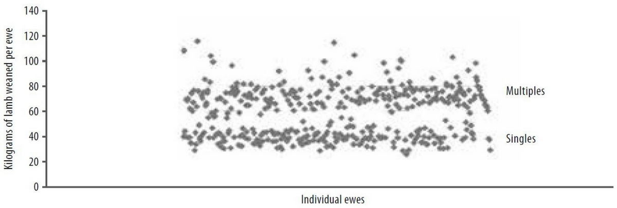 Figure 3. Example of kilograms of lamb weaned per ewe with a commercial ewe flock.