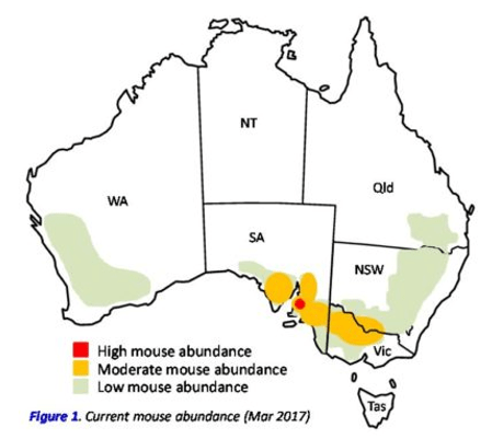 Mice area April 2017